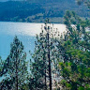 Meet your Posher, Colby